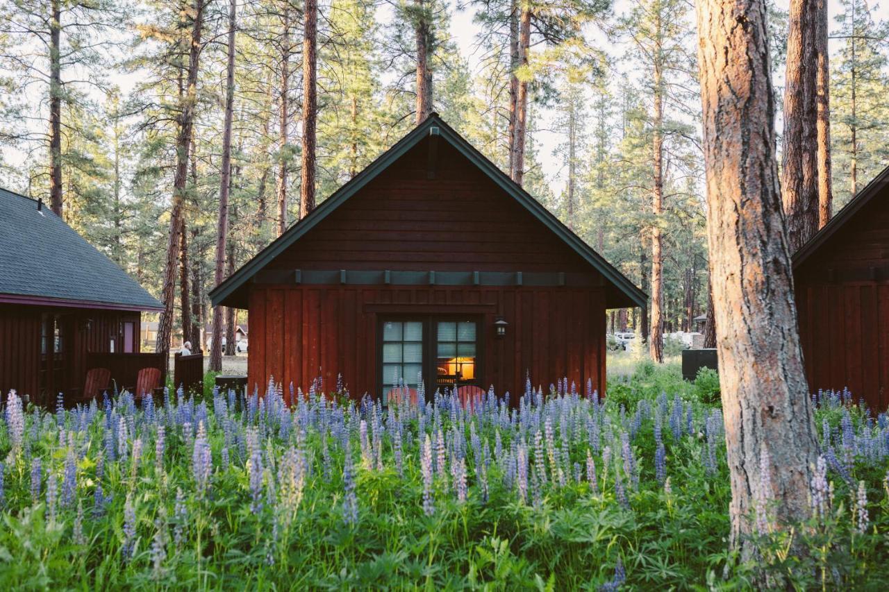 Fivepine Lodge Систерс Экстерьер фото